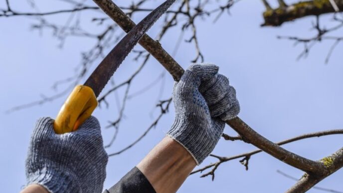 arbustii-pe-care-nu-trebuie-sa-ii-tai-primavara.-greseala-care-iti-poate-distruge-gradina
