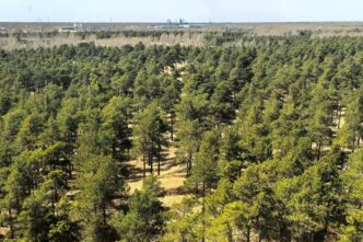 china-creeaza-imposibilul-in-marea-mortii:-desertul-taklamakan-incepe-sa-absoarba-co