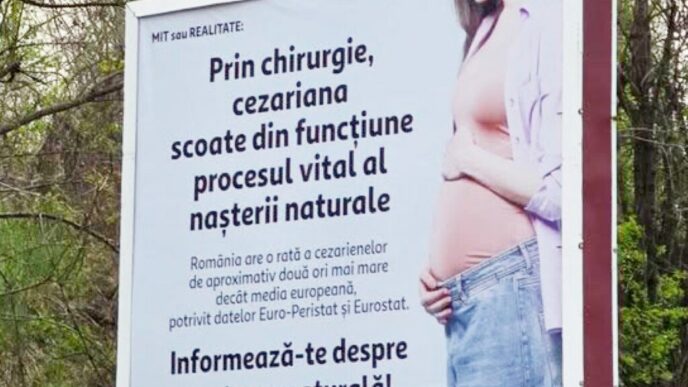 in-2026,-asa-ceva?-senatoarea-cynthia-paun-cere-interventie-de-urgenta-dupa-aparitia-unor-panouri-controversate