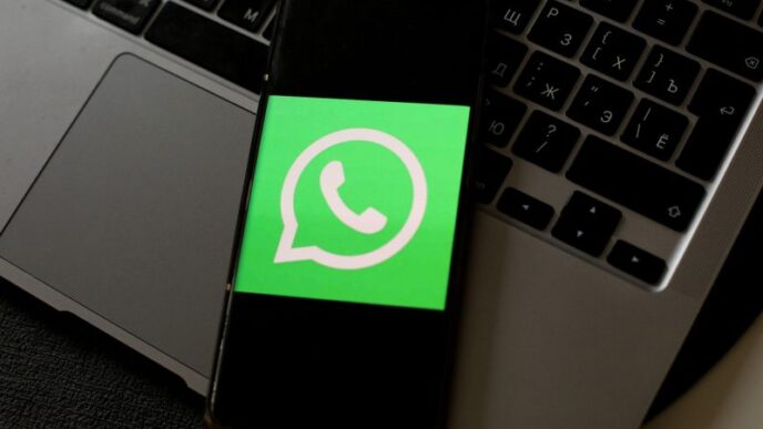 meta-aduce-ai-ul-pentru-afaceri-pe-whatsapp:-companiile-vor-putea-raspunde-automat-clientilor-la-orice-ora-din-zi-si-din-noapte