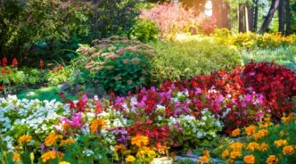 11-flori-perene-spectaculoase-care-infloresc-luni-la-rand-si-nu-trebuie-replantate-in-fiecare-an