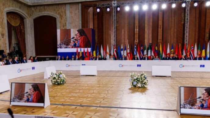oana-toiu-a-coprezidat-masa-rotunda-europeana-pentru-combaterea-ingerintelor-straine-in-alegeri