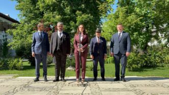 anamaria-gavrila,-dupa-consultari:-vom-sustine-orice-formula-pro-occidentala