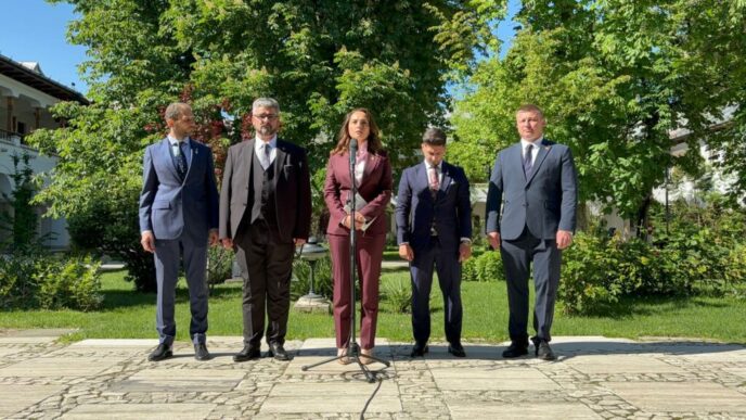 anamaria-gavrila,-dupa-consultari:-vom-sustine-orice-formula-pro-occidentala
