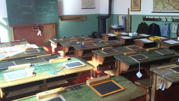 reprezentantii-profesorilor-cer-interzicerea-inteligentei-artificiale-in-scolile-elementare:-vom-pierde-o-generatie-de-copii