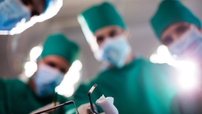 premiera-medicala:-medicii-au-transplantat-simultan-un-ficat-si-doi-rinichi-de-porc-intr-un-corp-uman