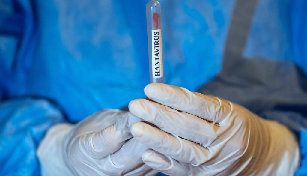 wsj:-rfk-jr.-ordona-unui-pasager-american-expus-la-hantavirus-sa-ramana-in-carantina,-in-ciuda-evaluarilor-medicale-pozitive
