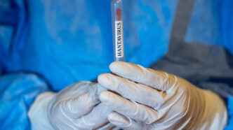 wsj:-rfk-jr.-ordona-unui-pasager-american-expus-la-hantavirus-sa-ramana-in-carantina,-in-ciuda-evaluarilor-medicale-pozitive