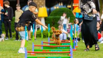 cele-mai-indragite-animalute-vin,-in-acest-weekend,-la-pet-event,-in-gradina-palas.-bucura-te-de-demonstratii-de-dresaj,-workshop-uri-si-premii!-–-stirea-de-iasi-sursa-ideala-de-stiri-si-informatii-locale-din-iasi